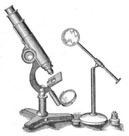 Микроскоп, 1876 ж.