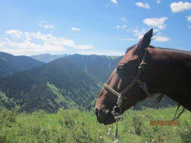 айцукй