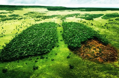 Экомаркировка – новая парадигма развития зеленой экономики
