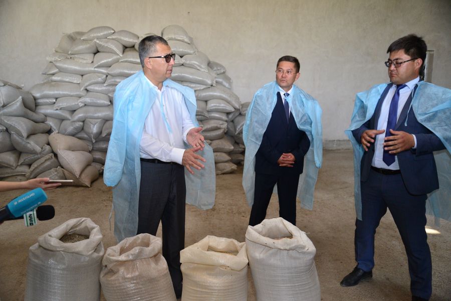 Өңір басшысы Отырар ауданындағы  жаңа нысандарды салтанатты түрде ашты