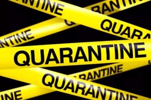 Quarantine is not a barrier to study in KazNU