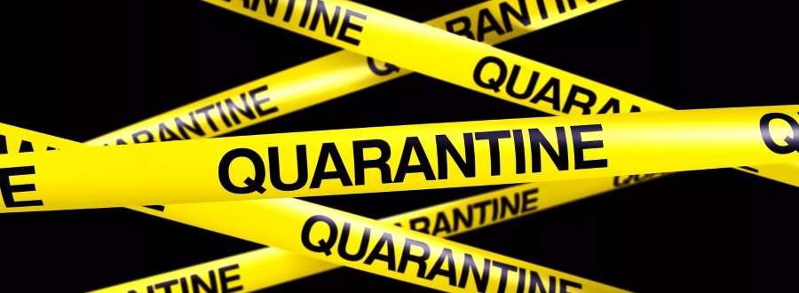 Quarantine is not a barrier to study in KazNU
