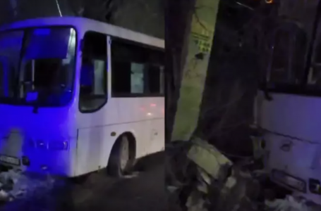 Алматы облысында жол апатына себепкер болған мектеп автобусының жүргізушісі жазаланды