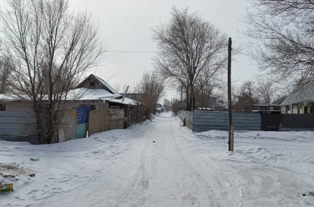 "3 ауылдың халқы отыр". Астаналық тұрғындар саяжайға елді мекен мәртебесін беруді сұрайды
