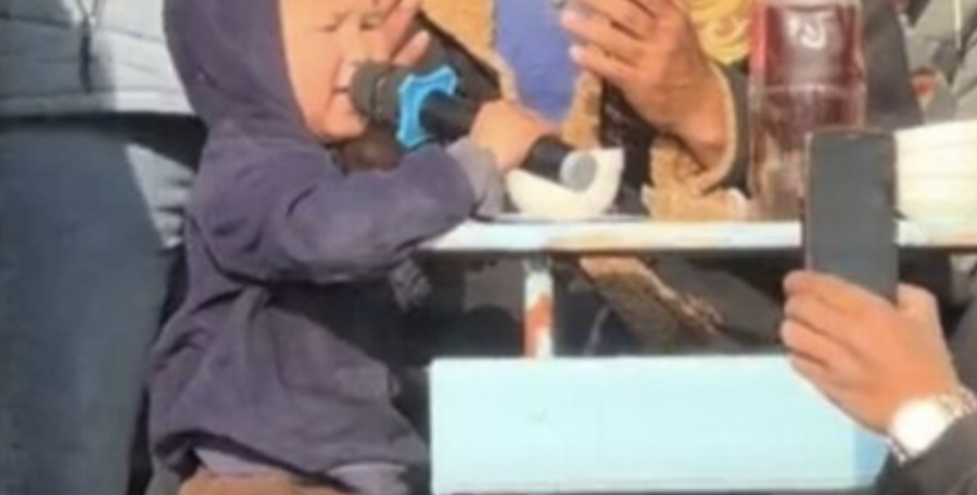 Түркістан облысында көкпарда бата берген үш жасар бала көпшілікті тәнті етті 