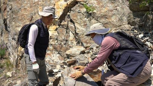 Корея геологтары Қазақстанда литий кен орнын тапты: министрлік не дейді?