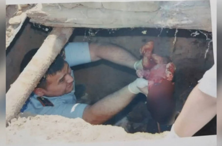 "Періштесі сақтады":  атыраулық полицей шақалақты қалай аман алып қалғанын әңгімелеп берді