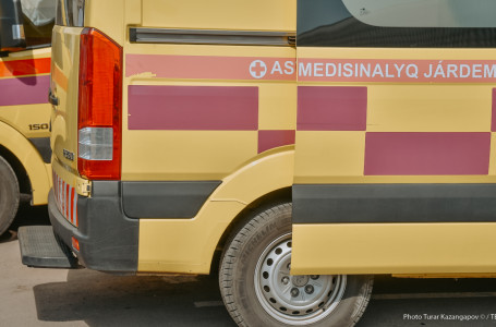 "Зардап шеккендердің дені - балалар". Атырауда қауіпті жәндік көбейіп, жағдай өршіп тұр