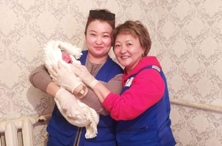 Алматы облысында дәрігерлер әйелді үйінде босандырып алуға мәжбүр болған