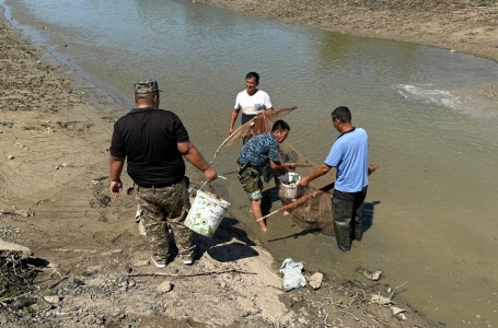 Атырау облысында 600 келіден астам шабақ құтқарылды