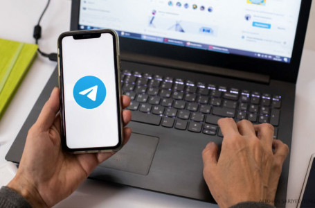 Telegram-нан есірткі сатқан 55 арна анықталды