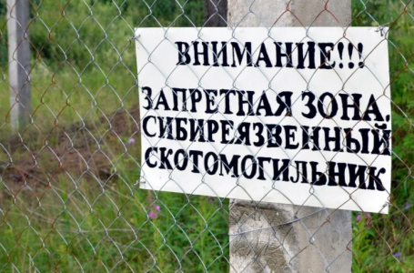 Алматы облысында тұрғындар Сібір жарасын жұқтырған: ауылда карантин жариялануы мүмкін