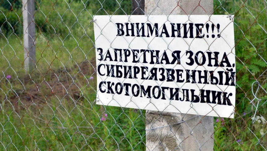 Алматы облысында тұрғындар Сібір жарасын жұқтырған: ауылда карантин жариялануы мүмкін