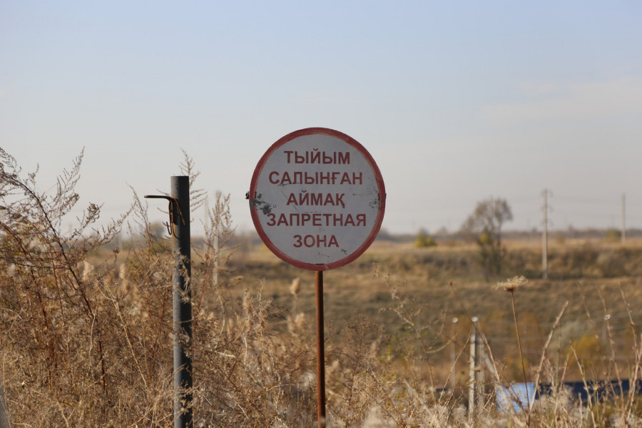 Ұйғыр ауданындағы Сібір жарасы: ірі қараға екпе салынды