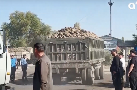 Жамбыл облысында рекордтық деңгейде шыққан қызылша шіріп кетуі мүмкін