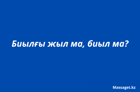 Биылғы жыл, биыл, ағымдағы жыл: қай нұсқа дұрыс?