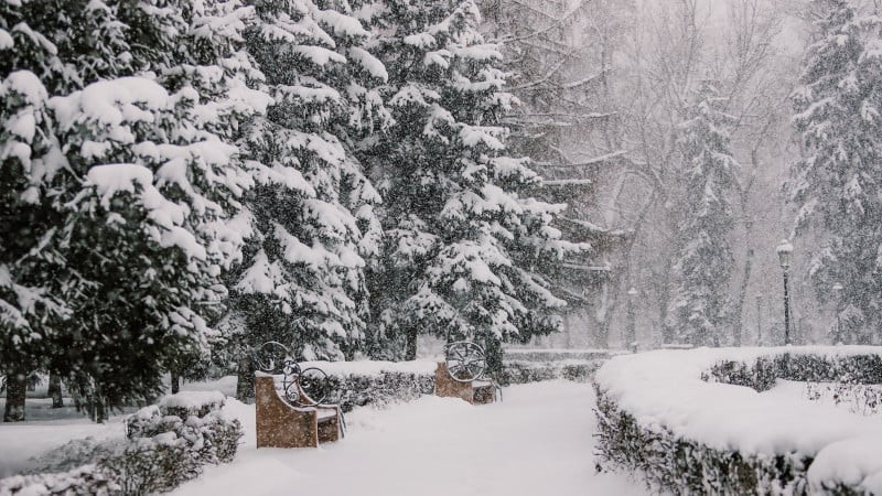 Тұман, көктайғақ, аяз: Қазақстанның басым бөлігінде ескерту жасалды