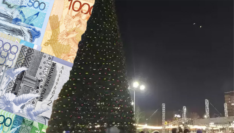 Семейде мұғалім құлаған шыршаның бағасы қанша?