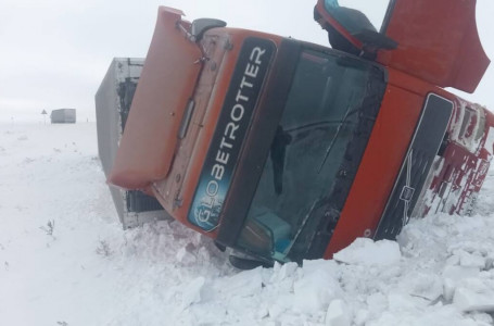 СҚО-да 20 тонна сыра тиелген жүк көлігі аударылып қалды  