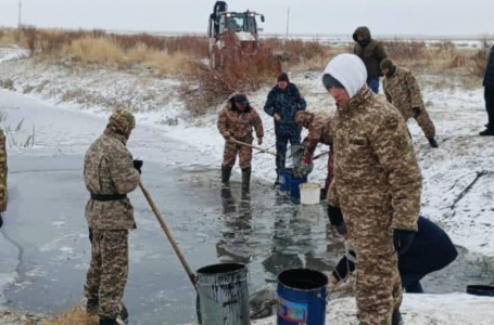 Атырау облысында балық қырылып жатыр: 9 миллионға жуық шабақ құтқарылды