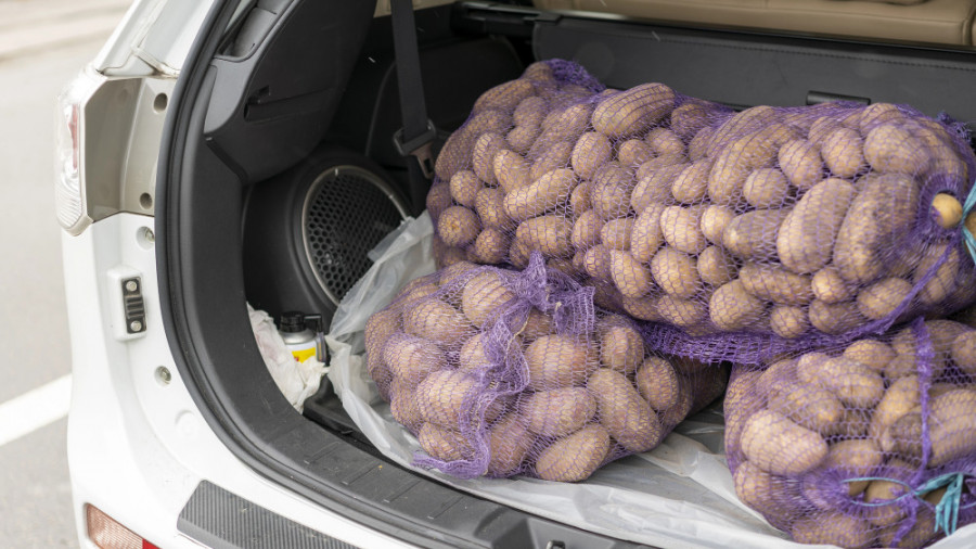 Бір қолға бес келі: Алматыда да картоп саудасына шектеу қойылды