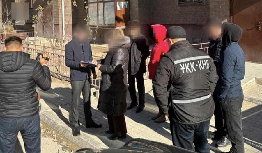 Заңсыз көші-қон ұйымдастырды деген күдікке ілінген бір топ адам әшкереленді