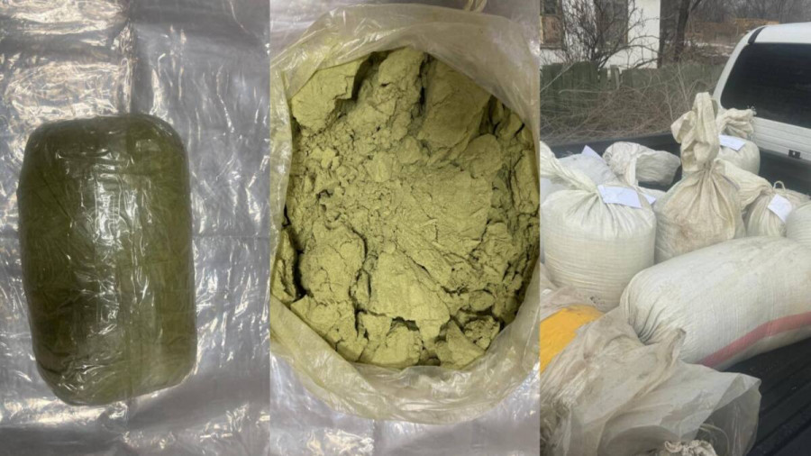 Арнайы операция: Шу ауданында ірі көлемдегі есірткі арнасы әшкереленді