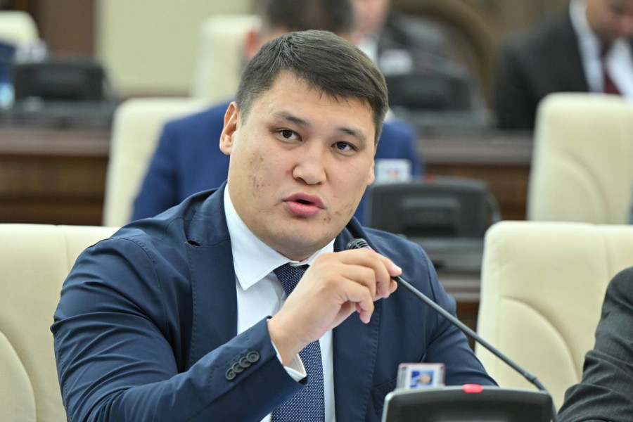 Депутаттар Руслан Берденовтің өкілеттігін мерзімінен бұрын тоқтатты