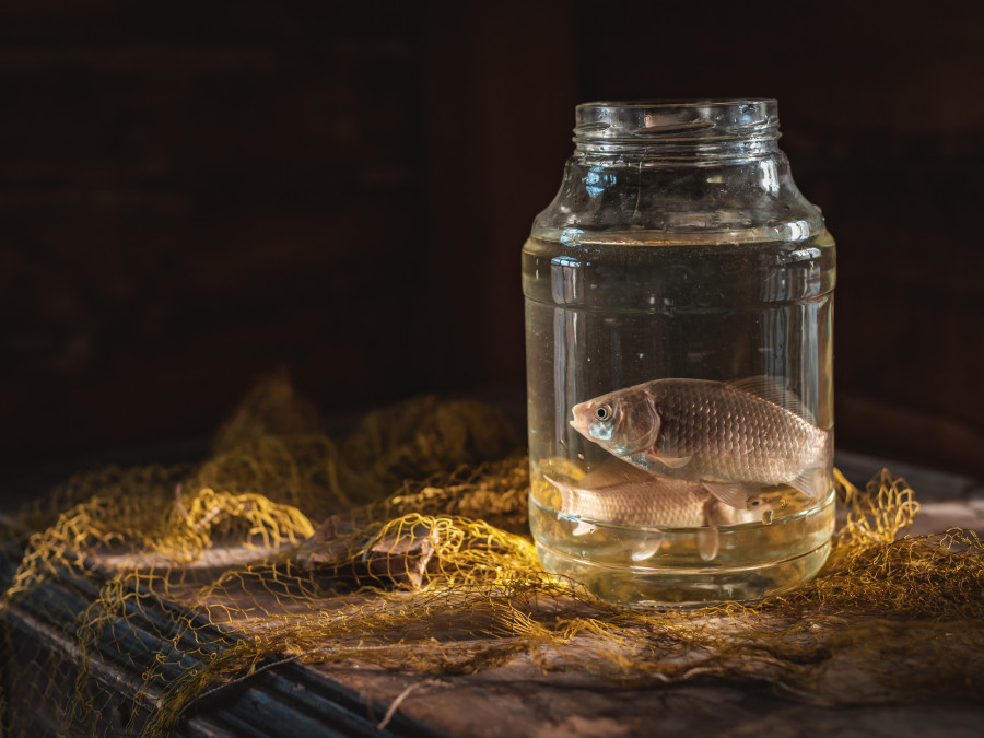 Атырау тұрғыны 146 грамм уылдырық пен балық үшін 3 жылға сотталды