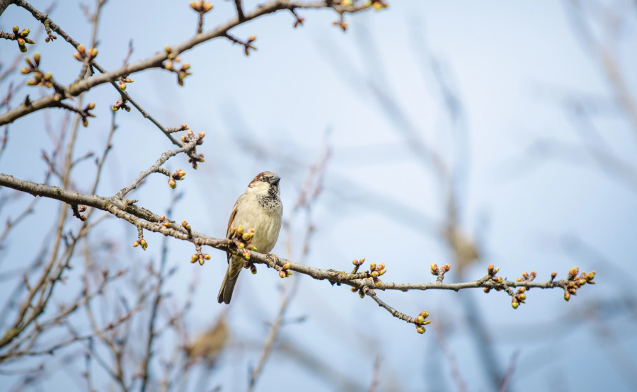 Алдағы күндері ауа райы қандай болады?