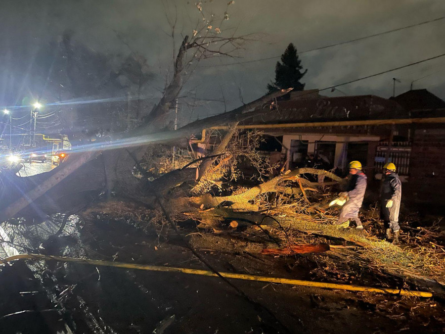 Алматыда түн ішінде дүлей дауыл соқты: салдары қандай болды?