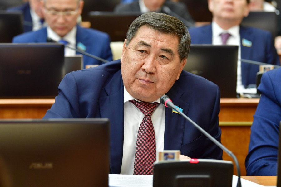 Депутат кейбір дивидендтерге салық салуды ұсынды