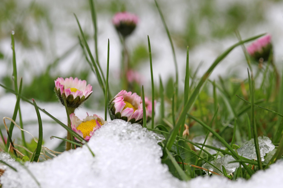 19 сәуірге арналған ауа райы болжамы қандай?