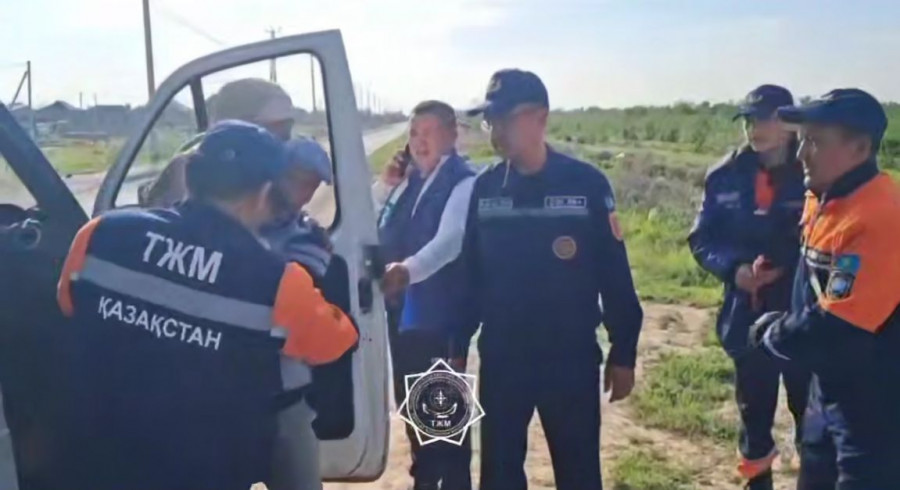 Шымкентте жоғалған кейуана табылды