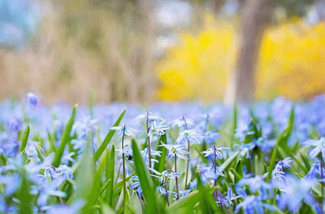 Қазақстанда алдағы күндері үсік күтіледі 