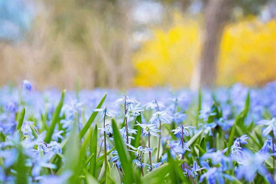 Қазақстанда алдағы күндері үсік күтіледі 