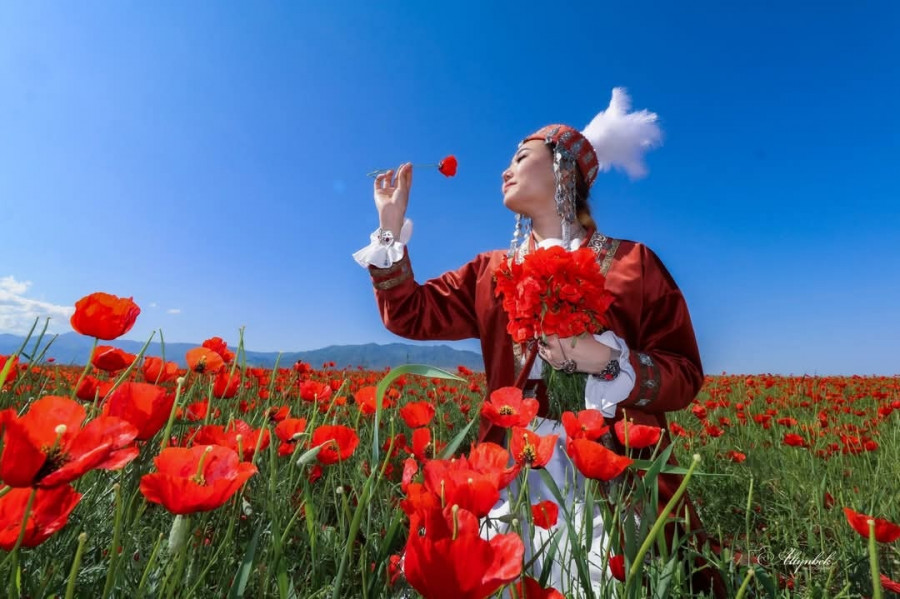 Шетелдік сарапшылар қызғалдақты Жамбыл облысының бренді деп атады: өңірде ғылыми конференция өтті