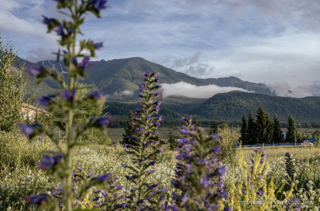 Жел және жаңбыр: Қазақстанда бүгін ауа райы қандай болады?