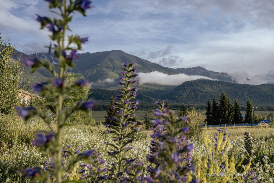 Жел және жаңбыр: Қазақстанда бүгін ауа райы қандай болады?