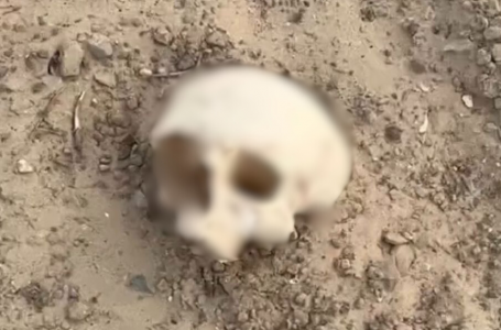 Атырау облысында адам сүйектері табылған: әкімдік пікір білдірді