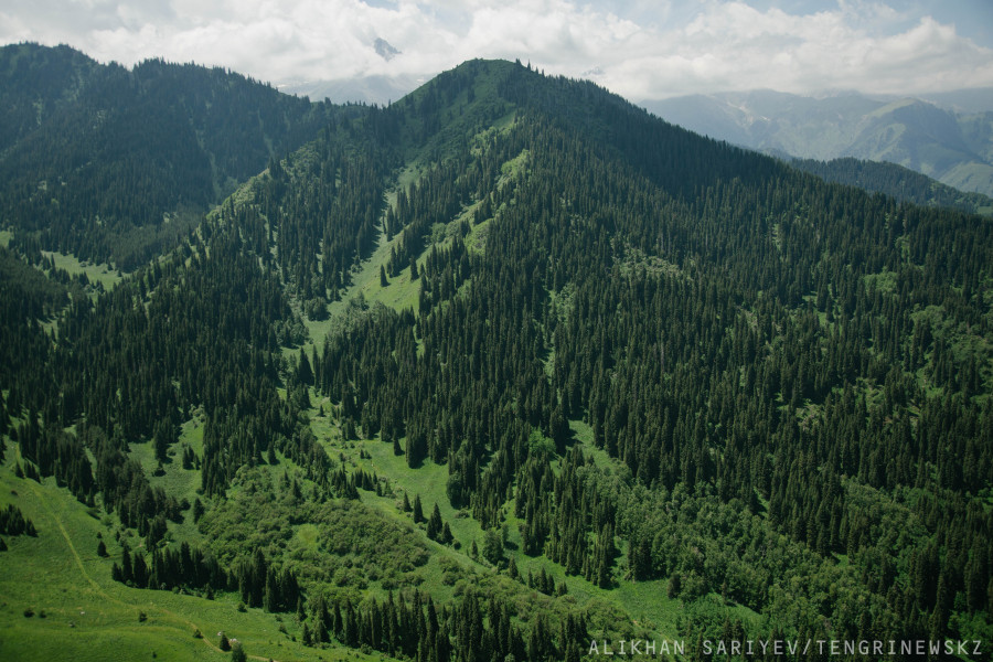 Алматы тауларында қыз қаза тапты: бұл жайт туралы не белгілі?
