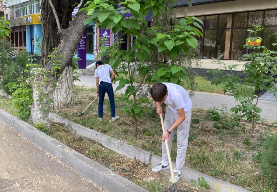 Жамбыл облысында “Таза Қазақстан“ экологиялық акциясы жалғасып жатыр