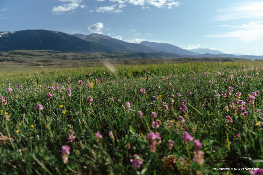 Аптап және жел: Қазақстанда бүгін ауа райы қандай болады?