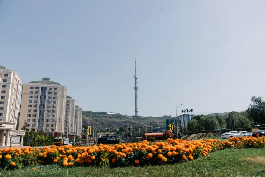 Алматы мен Шымкент тұрғындарына ескерту жасалды