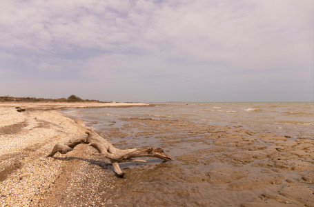 Каспий теңізінің таяздану себебі аталды