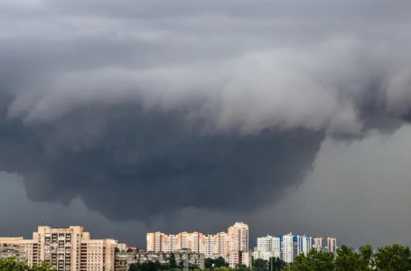 Алдағы күндері жаңбыр жауып, найзағай ойнайды