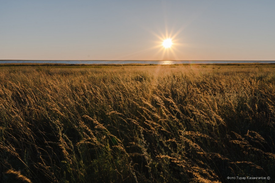 Тері қатерлі ісігі: маман жазға арналған кеңестер берді