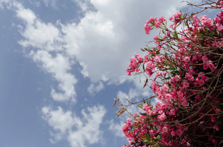 12-14 маусым Астана мен Алматыдағы ауа-райы қандай?