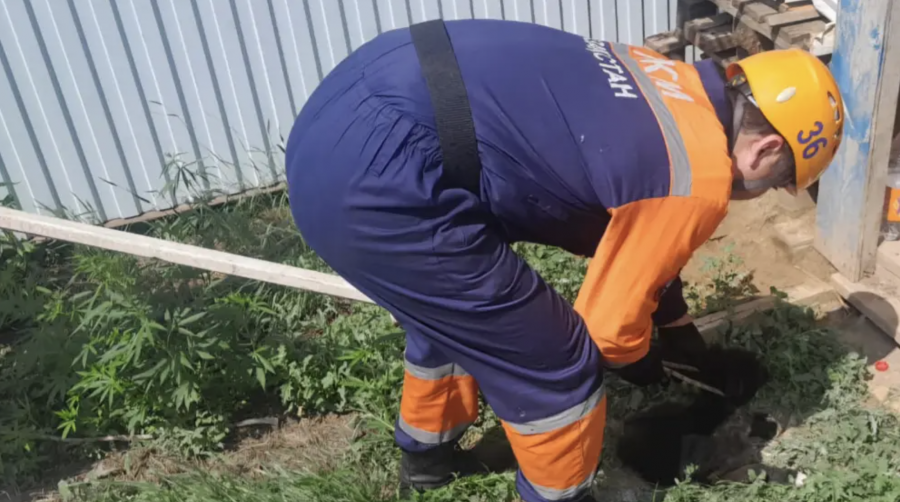 Оралда шұңқырға түсіп кеткен күшік құтқарылды