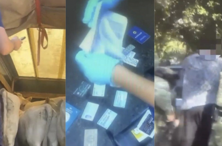 Жетісуда 9 млн теңгеге мал ұрлағандар ұсталды